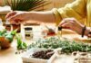 What is Holistic Medicine and What Are Its Principles? Holistic Medicine